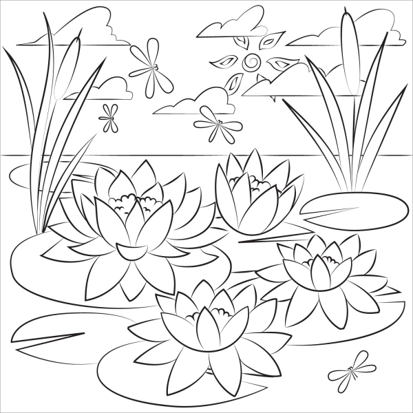Lily Pad coloring page image