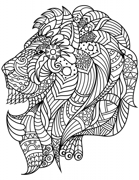 Lion Head Zentangle coloring page image