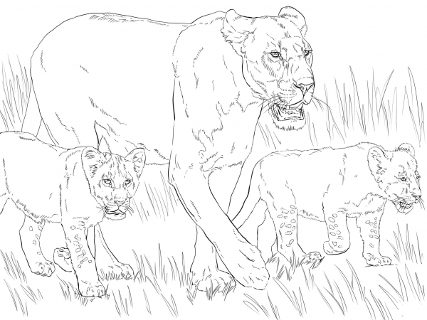 Lioness with Cubs coloring page image