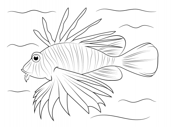 Lionfish coloring page image