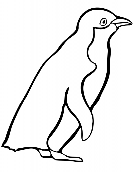 Little Blue Penguin coloring page image
