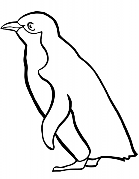 Little Blue Penguin coloring page image