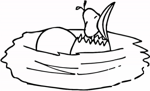 Little Chicken  coloring page image