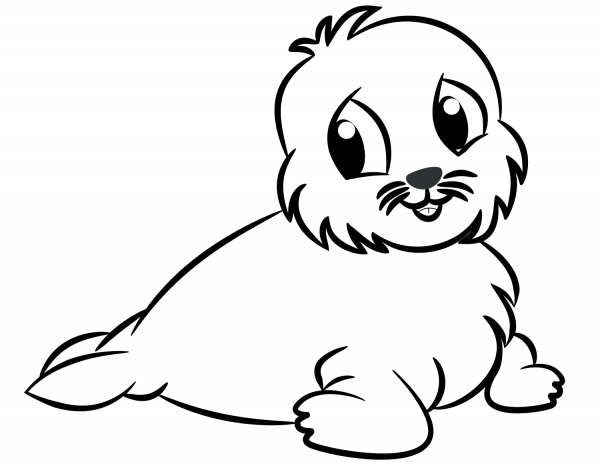 Little Fur Seal  coloring page image