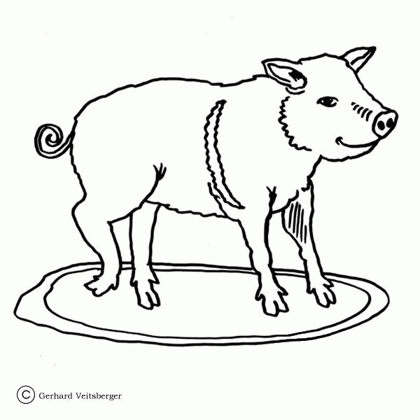 Little Hungry Pig  coloring page image