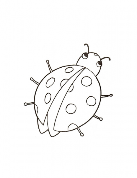 Little Ladybird coloring page image