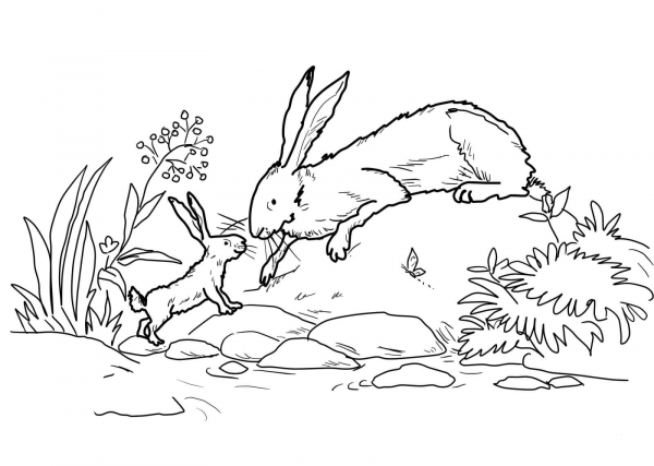 Little Nutbrown Hare and Big Nutbrown Hare Were Down by the River coloring page image