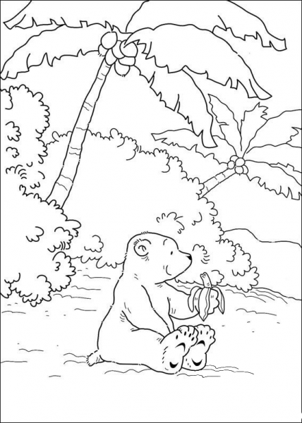 Little Polar Bear is eating a banana  coloring page image