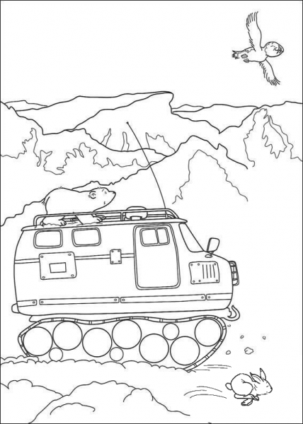 Little Polar Bear Is on the vehicle  coloring page image