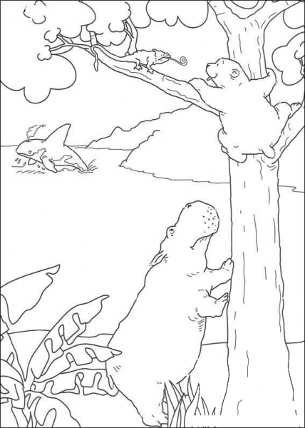 Little Polar Bear Lars and Hippo Climb The Tree  coloring page image