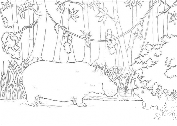 Little Polar Bear Meets Hippo  coloring page image