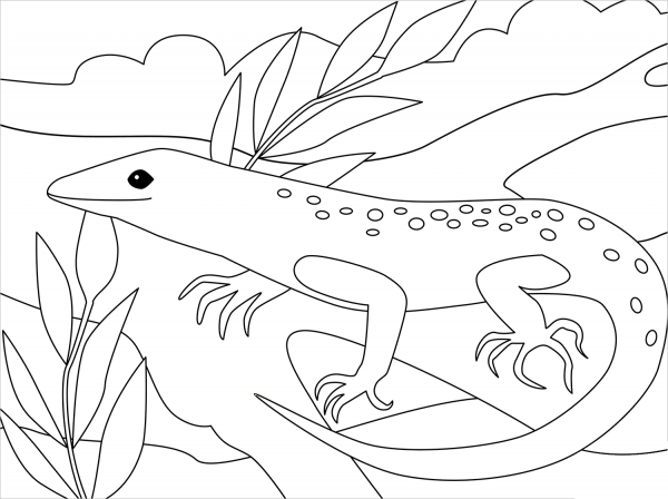 Lizard coloring page image