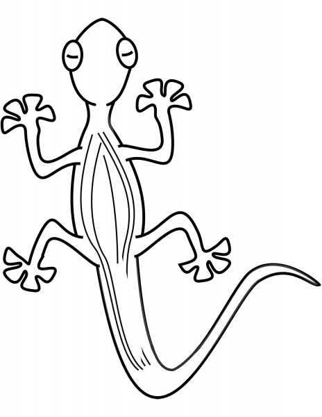 Lizard coloring page image