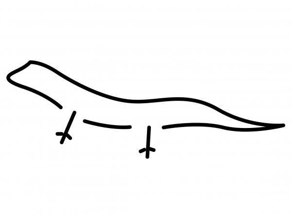 Lizard Emoji coloring page image