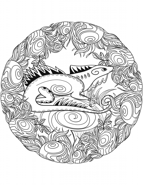 Lizard Mandala coloring page image