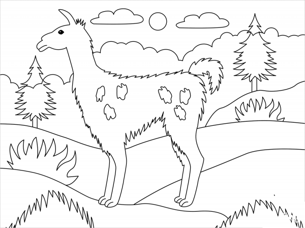 Llama coloring page image