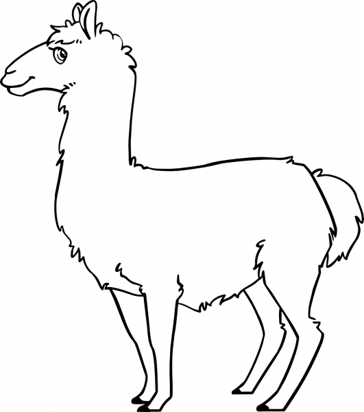 Llama coloring page image