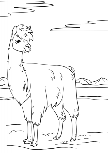 Llama coloring page image