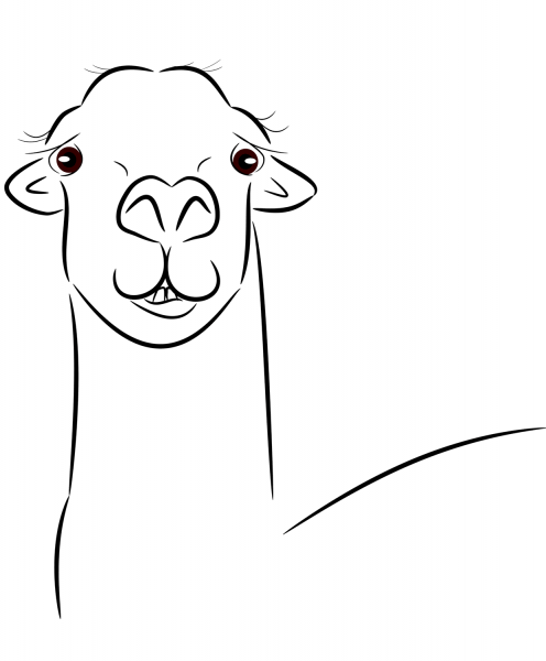 Llama Head coloring page image