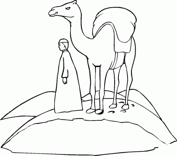 Loaded camel on the go through desert coloring page image
