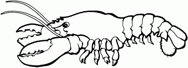 Lobster 1 coloring page image