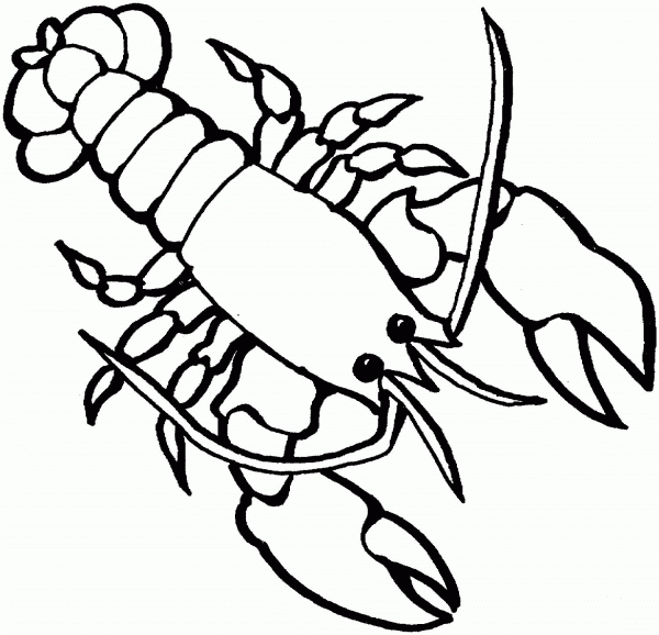 Lobster 2 coloring page image