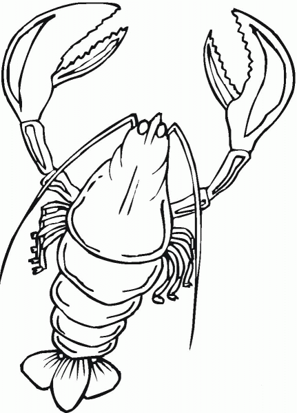Lobster  coloring page image