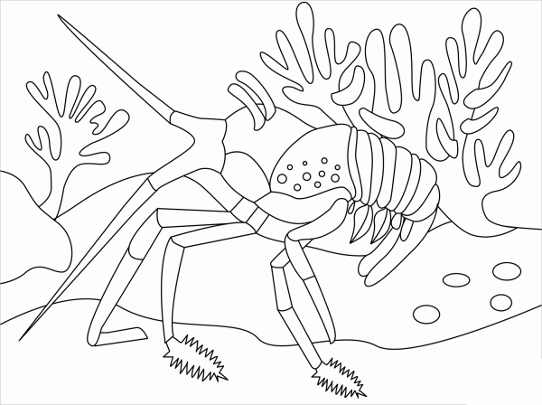 Lobster coloring page image