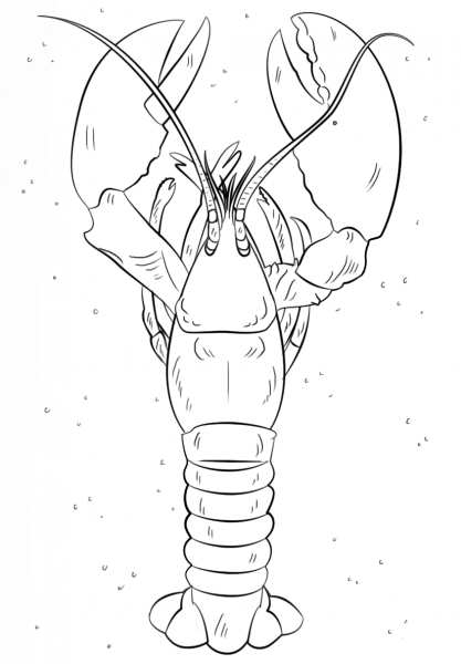 Lobster coloring page image