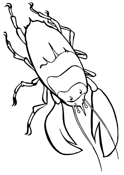 Lobster coloring page image