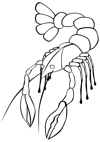Lobster  coloring page image