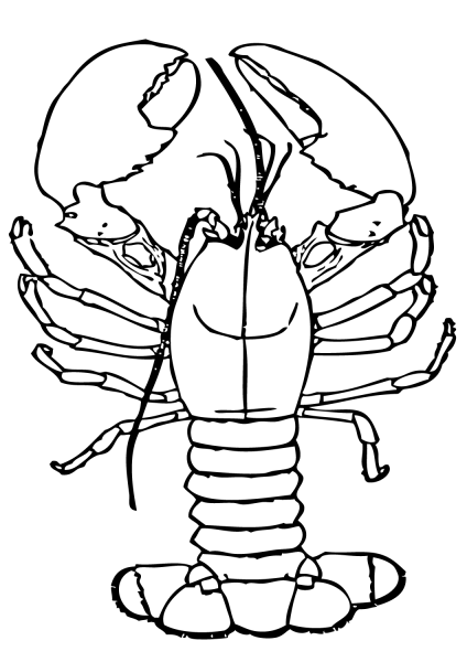 Lobster with big claws coloring page image