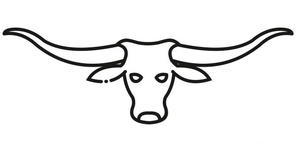 Longhorn coloring page image