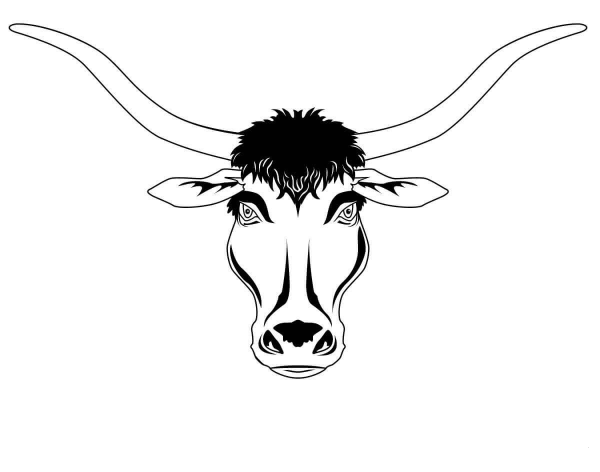 Longhorn Head coloring page image