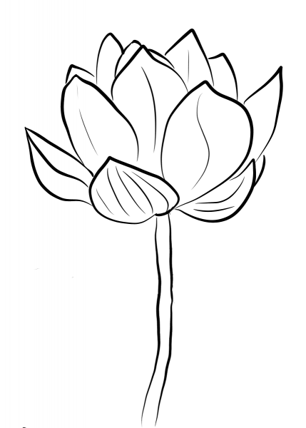 Lotus Blossom coloring page image