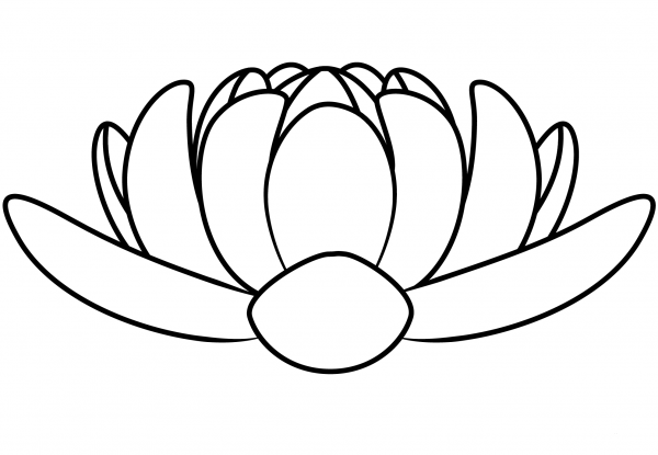 Lotus coloring page image
