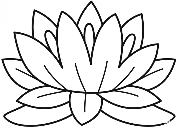 Lotus coloring page image