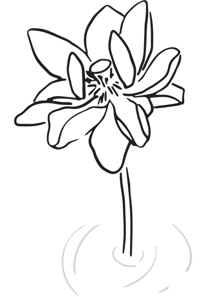 Lotus coloring page image