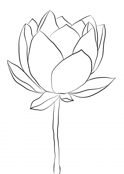 Lotus Flower coloring page image
