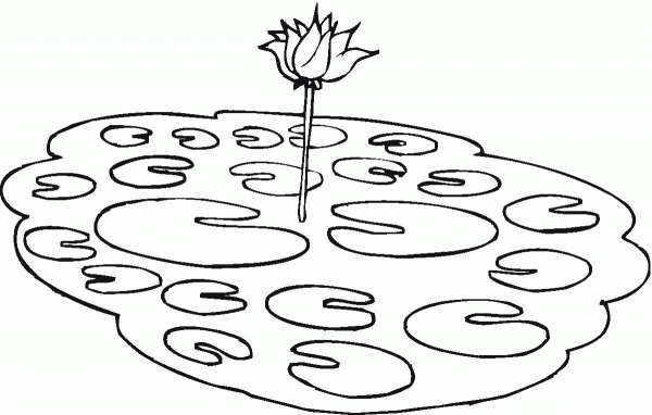 Lotus in a pond coloring page image