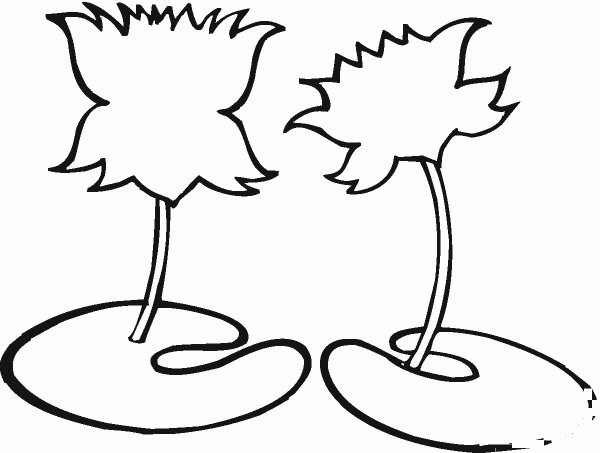 Lotus outline coloring page image