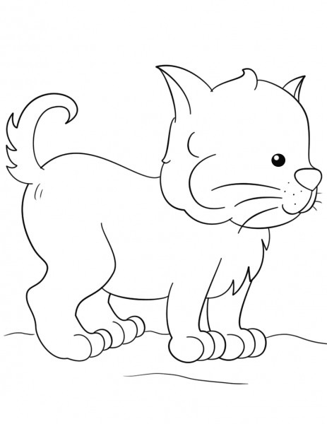 Lovely Kitten coloring page image