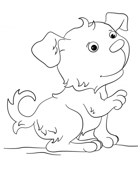 Lovely Puppy coloring page image