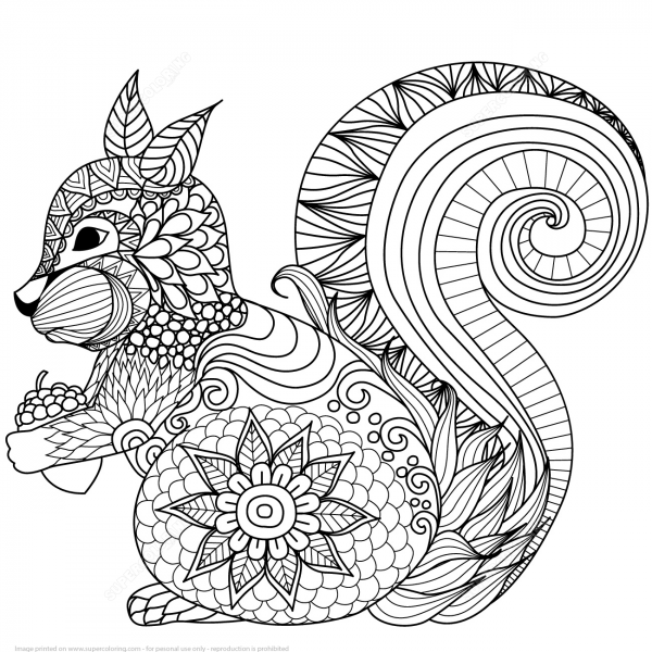 Lovely Squirrel Zentangle coloring page image