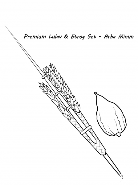 Lulav and Etrog coloring page image