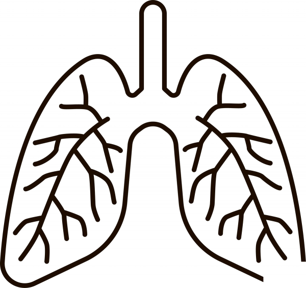 Lungs coloring page image