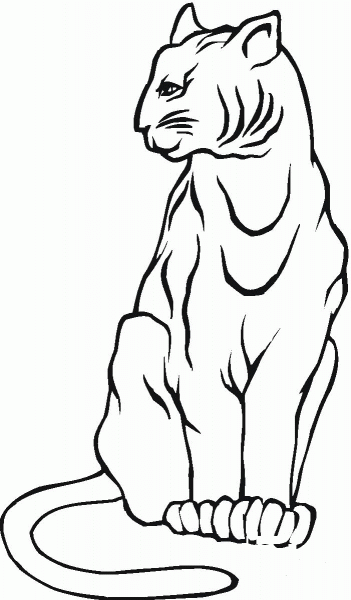 Lynx 17 coloring page image