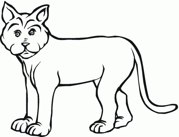 Lynx 19 coloring page image