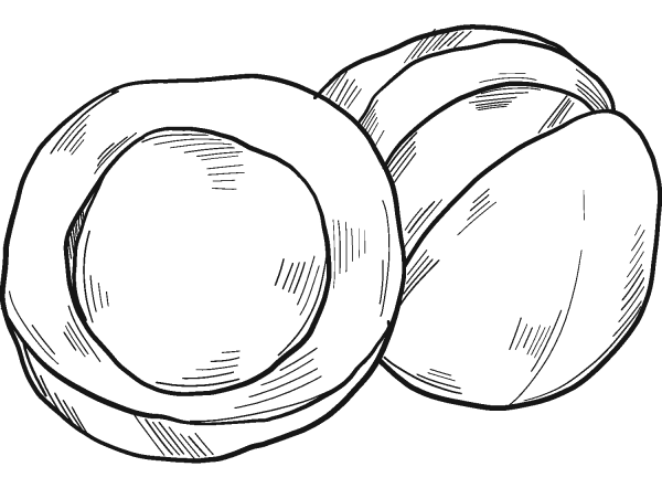 Macadamia Nut coloring page image