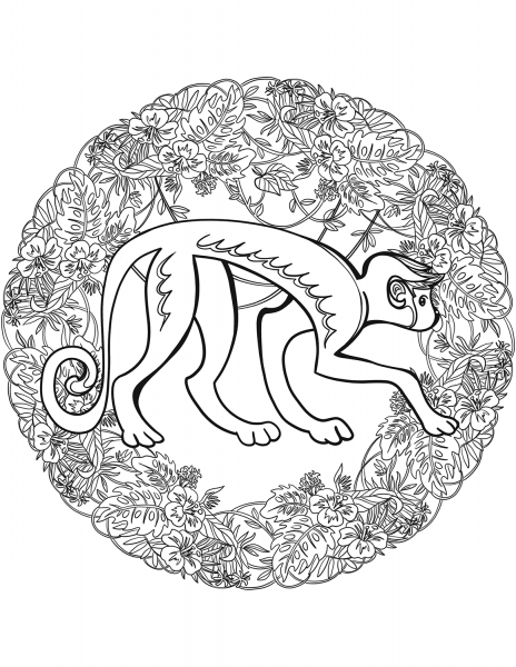Macaque Mandala coloring page image